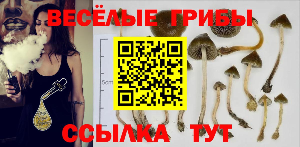 Галлюциногенные грибы Magic Shrooms  Вход с VPN  Коломна 